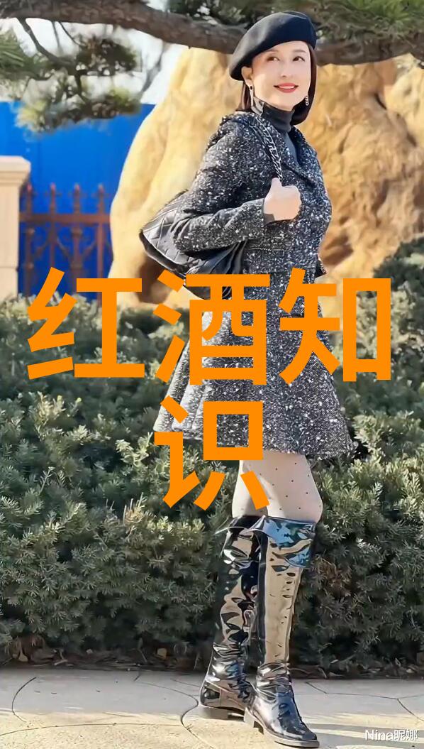 法国最大的葡萄酒产区我在波尔多的葡萄酒冒险体验法国最美味的地方