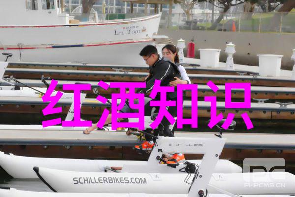 黑皮诺葡萄酒的著名产区法国波尔多地区的美味葡萄酒