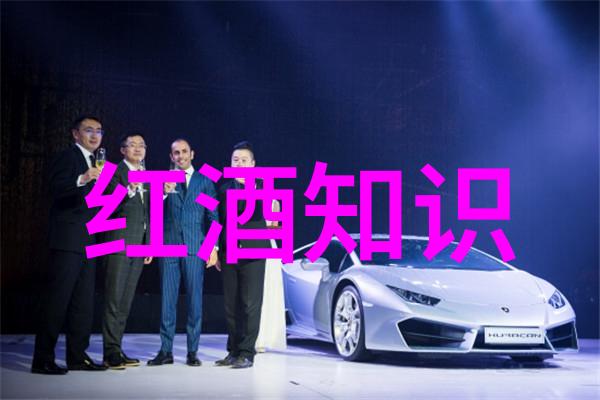 罗埃罗产区Roero DOCG中的法国最大的葡萄酒产区作为物品展现其价值与历史