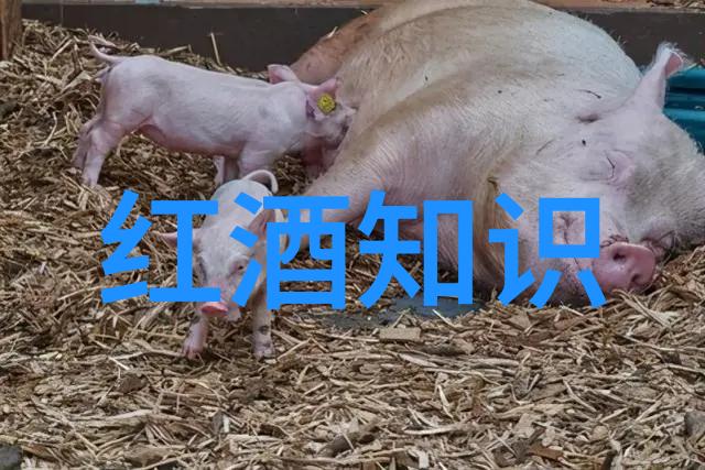时代楷模人物简短事例我想说的是守护生命的英雄张颐霖医生的事迹
