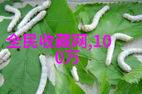 红酒风情醉心于葡萄园的绚烂篇章