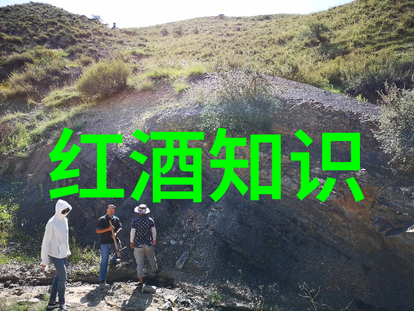 手机的收藏夹在哪个位置探秘隐秘角落中的数字宝库