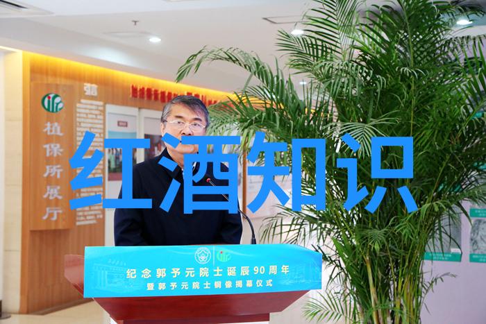 法语中的Terroir如何影响不同地区的葡萄酒风格