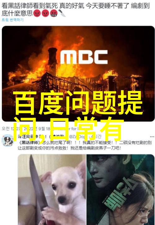 Alsatian 葡萄园中隐藏着什么秘密让我们一起揭开这个神秘的大陆