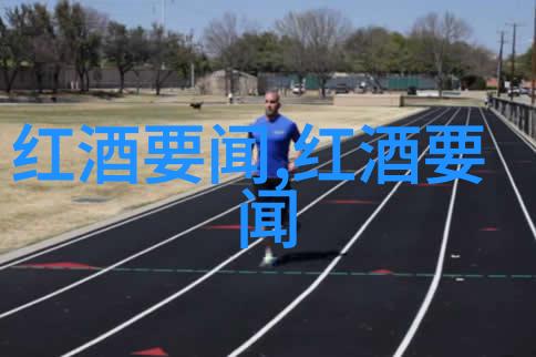 猫的品种排名图片价格我来告诉你哪些猫咪最受欢迎