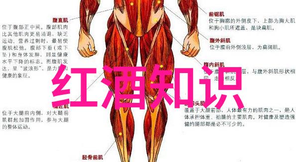 2022浪漫庄园游戏频繁闪退爱情与技术的不完美交响曲
