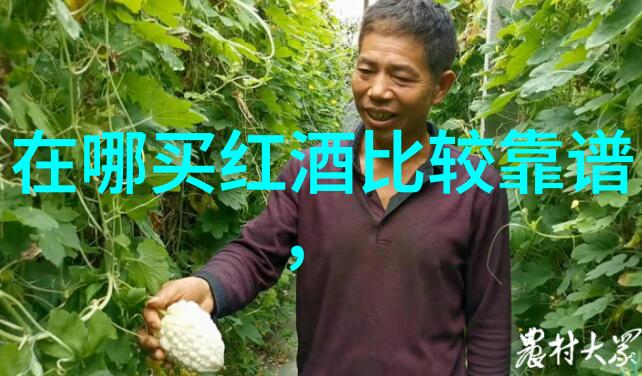 玉米种子最好的品种排行榜玉米种子选择优质玉米品种最佳玉米栽培