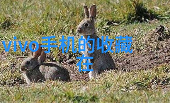 卡通世界的缩影人物头像图片集锦