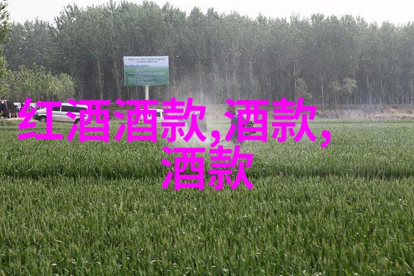 葡萄酒知识分享-醉心于酿造揭秘葡萄酒的制作艺术与文化深度