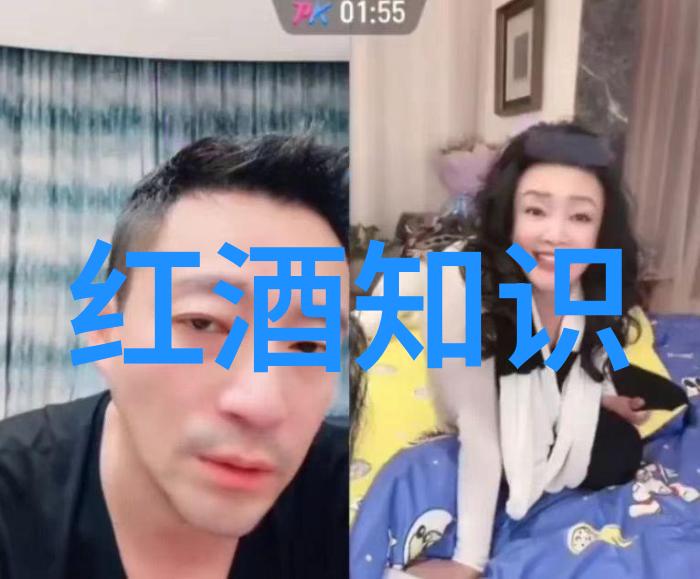 上海周边一日游推荐探索江南水乡与现代都市的魅力