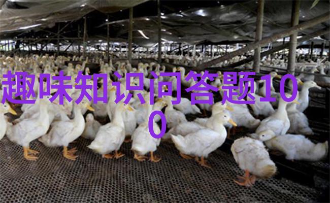 小四郎手中握着历史走进其独特文物馆藏