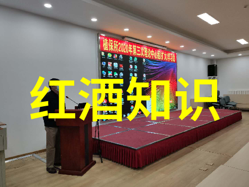 中国古代有庄园吗帕斯奎尔酒庄如同沉睡千年的巨龙静默地等待着时间的唤醒