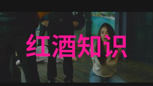 手机收藏夹的位置找到你的宝贵记忆与快捷方式