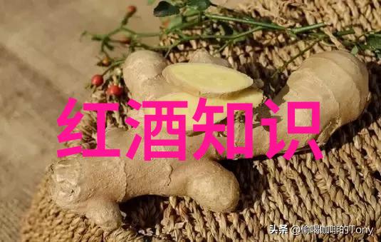 玫瑰花名称大全我来教你这些超级甜蜜的名字