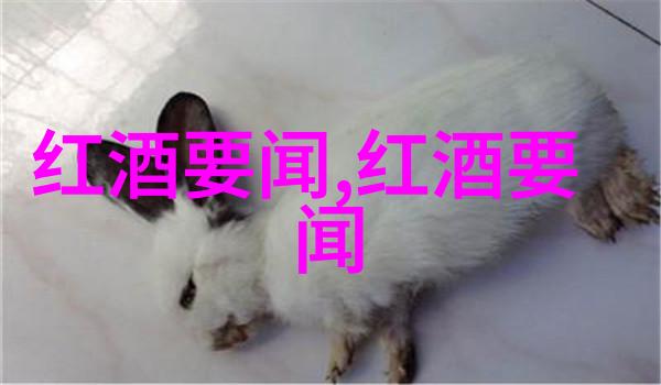 中国豪华之冠探秘最顶级大别墅的奢华世界