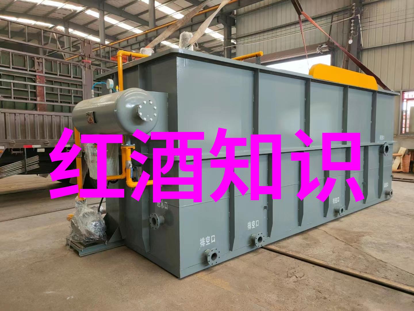 纸币收藏的未来寻觅升值之星