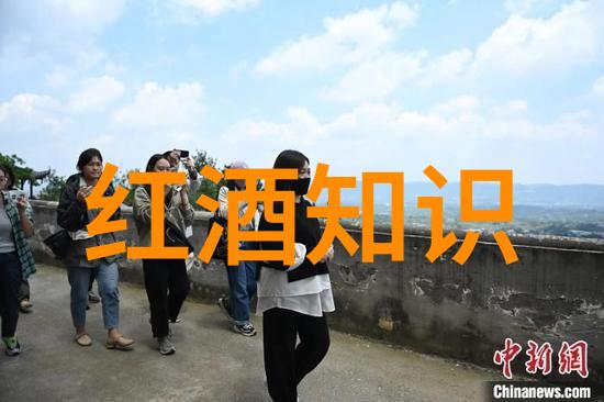 百度答题拍照智慧相机的魔法之旅