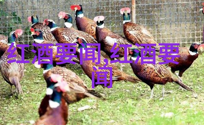 我我的收藏图片怎么找解决常见问题