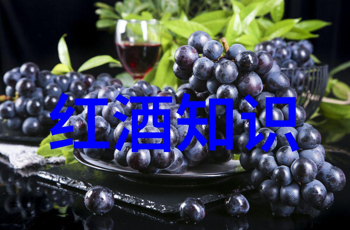 专家以油画般精细探讨喝葡萄酒之旅健康的双刃剑