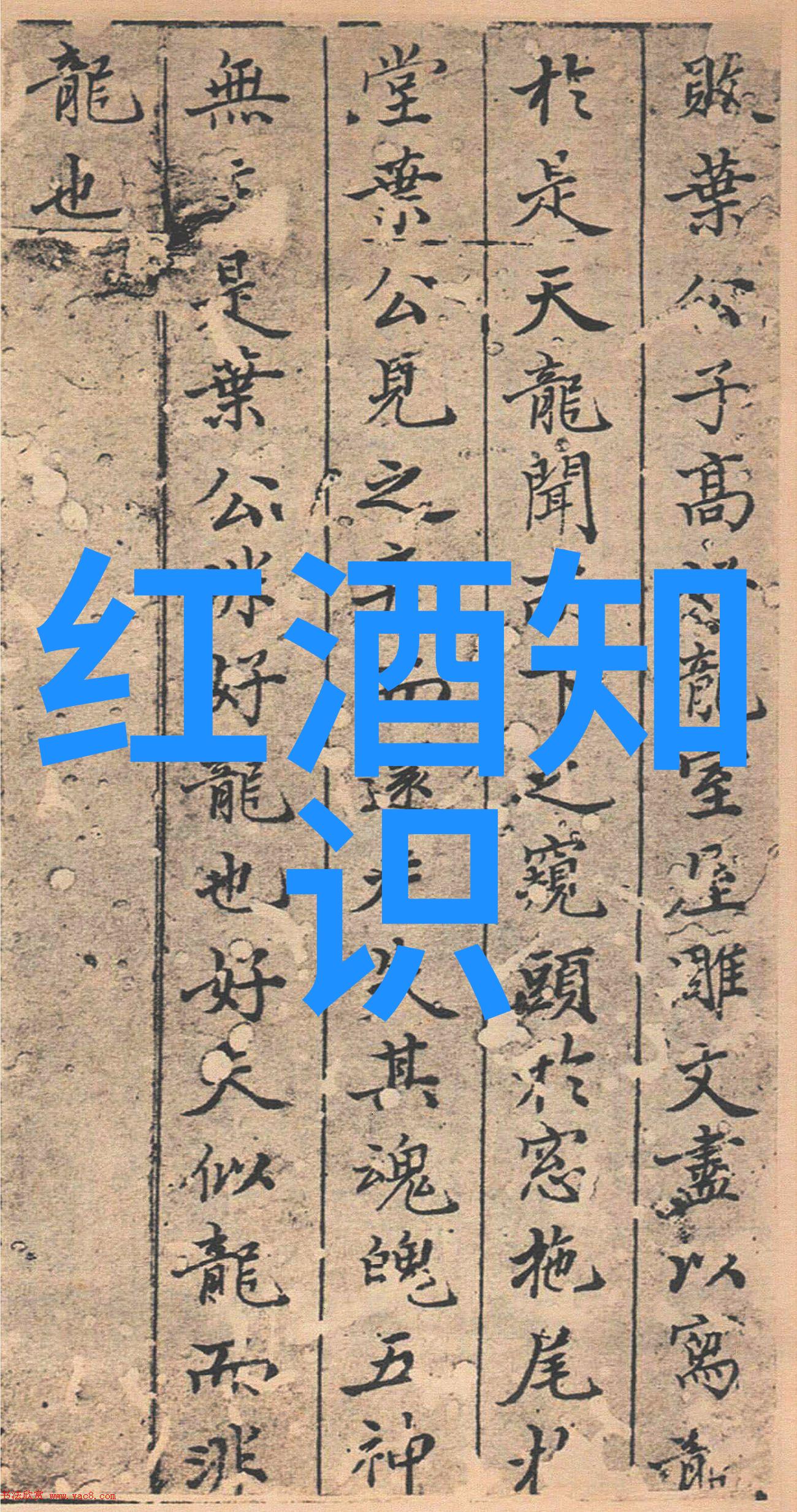 黄河流域粮食主产区金色稻穗下的丰饶故事