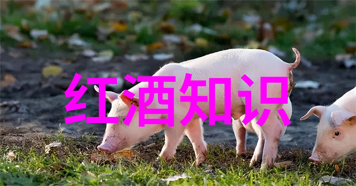 我来解释你知道吗法国波尔多其实意味着啥