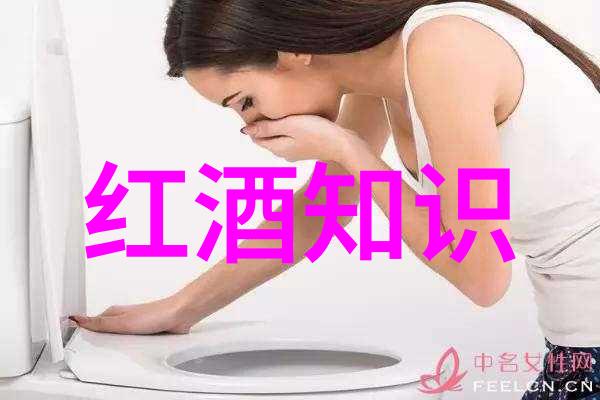 收藏界杂志探秘珍贵物品与艺术市场