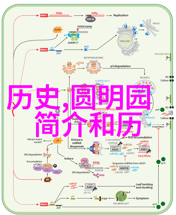 3天离深圳近的旅游城市-探秘周边美地3天2夜深圳周游记