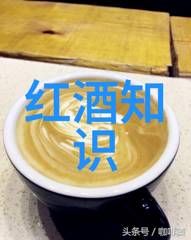 法国起泡葡萄酒产区-香槟大地探索法国起泡葡萄酒的神秘与魅力