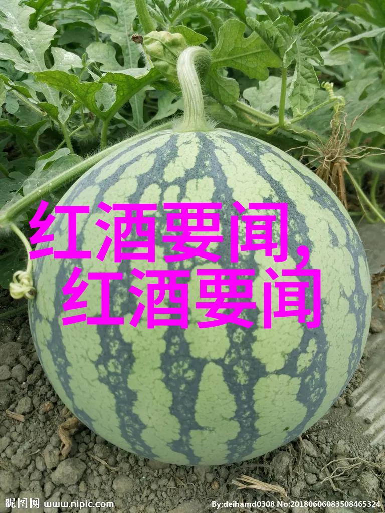 上海周边的美丽探秘一日游趣记