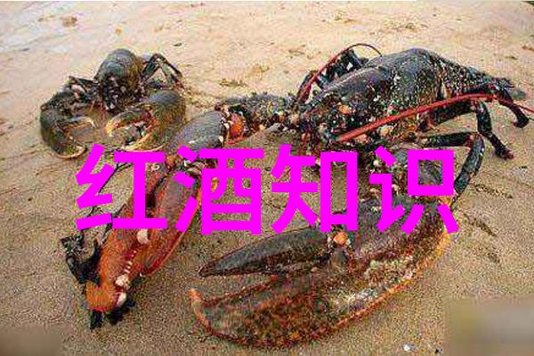 温暖的阳光在海湖庄园的草坪上洒下金色的光辉映照出这片神秘而宁静的地方这里不仅是一处豪华的度假胜地更是