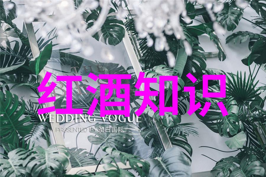 街头风云18seRAPPERDISSSUBS的地下世界