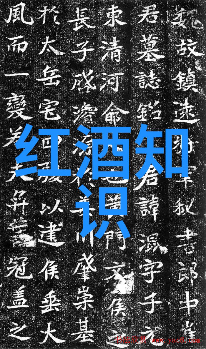 寻找完美宠物伙伴猫品种大全中哪些适合初学者