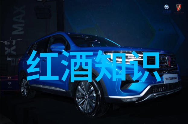 照片删除恢复如何使用专业软件和方法救回误删的图片