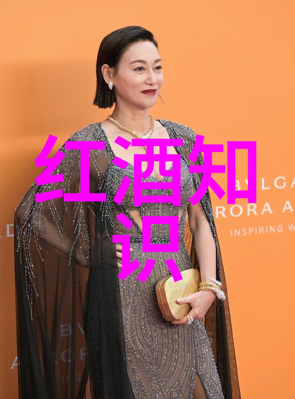 庄园游戏下载探索安东尼奥巴塞洛酒庄的秘密