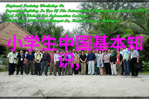 tobu8的美国14vdo之旅揭秘一代汽车爱好者的怀旧情怀