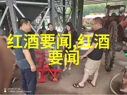 玫瑰花卉的多样品种展示各种颜色和形态的美丽玫瑰