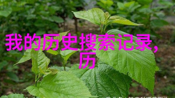 周边游览必去景点探索当地文化与自然风光