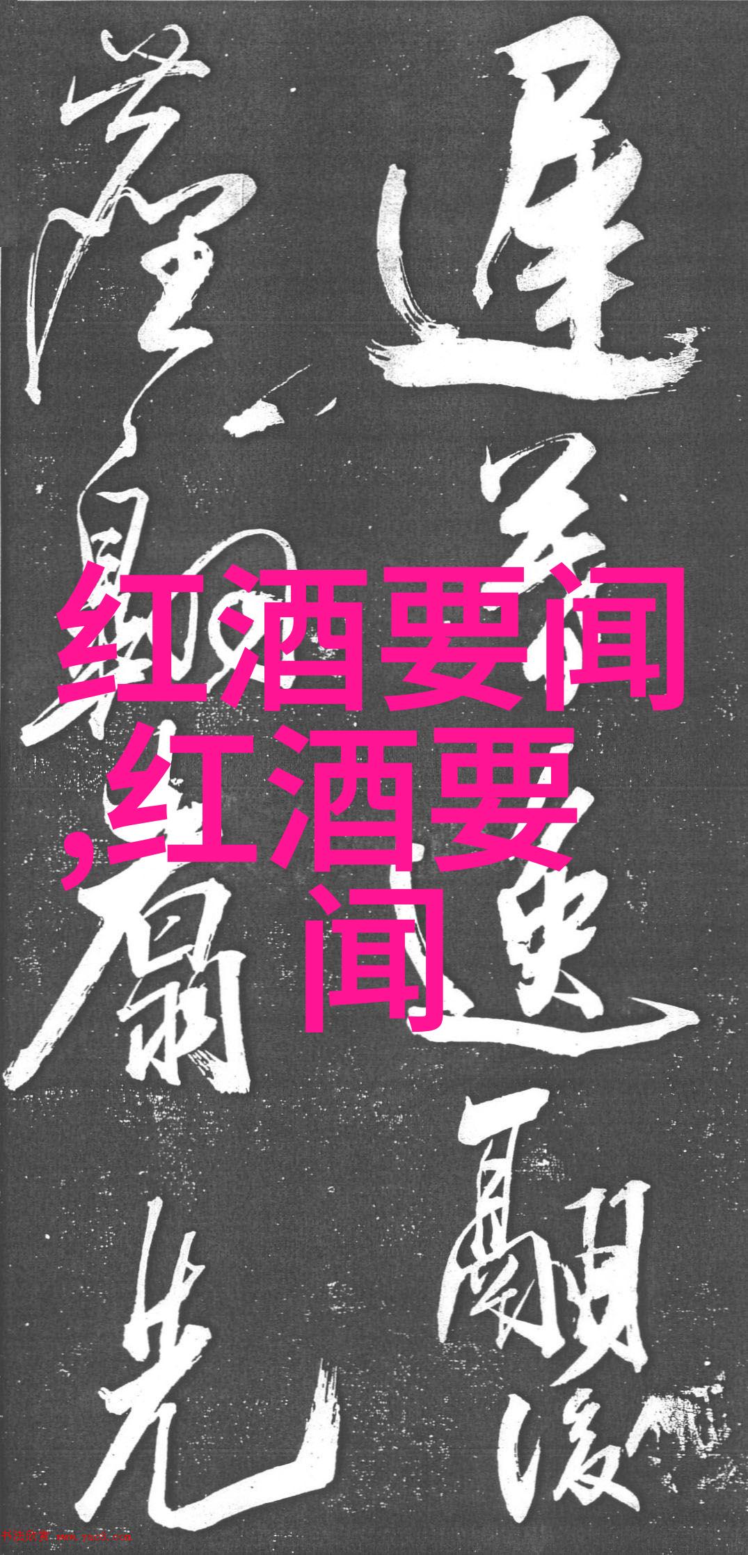 猫的品种鉴赏揭秘如何辨别猫咪的血统与特征