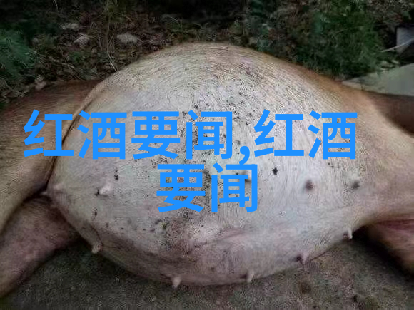 从0到100最火互动小话题的奇妙逆袭
