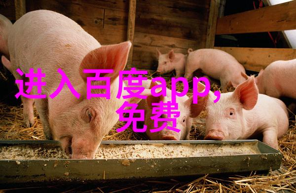 红酒趣闻录从葡萄到醉酣的奇遇
