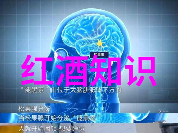 成都周边自驾一日游探秘锦里古镇与双流水上乐园的魅力之旅