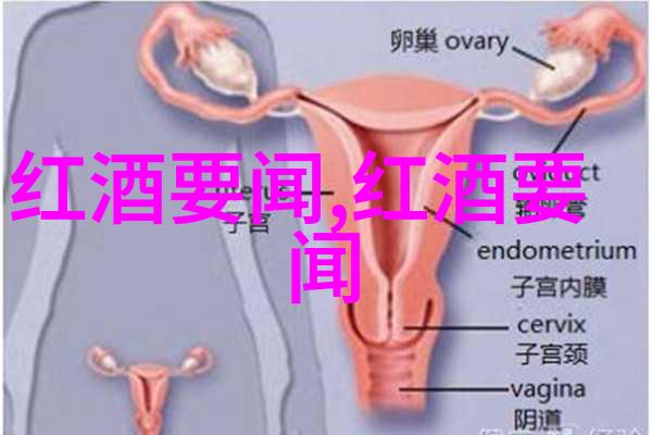 娱乐趣味问答题及答案-笑声连连趣味问答的快乐挑战