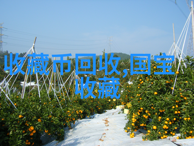 年度心声揭秘2022年个人喜好调查问卷的精彩发现