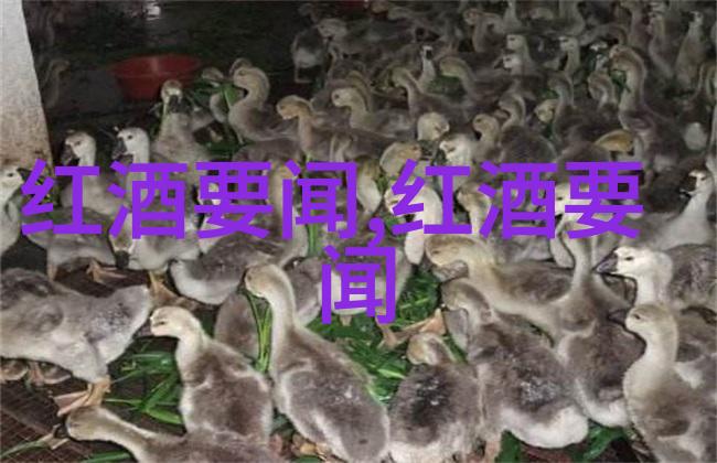 玉米丰收黄金海洋的秘密花园