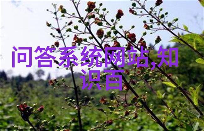 北京周边的神秘古镇与现代都市探索未知的旅行宝藏