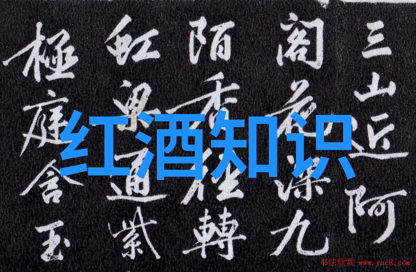 大收藏家的珍品库探索艺术与历史的无价宝藏