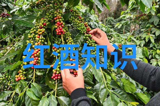 历史的痕迹收藏家与时间的对话