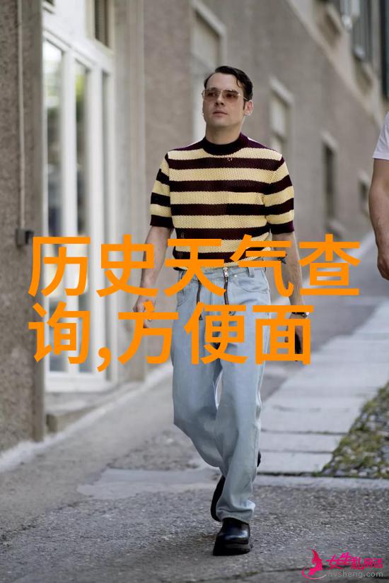 查看我的历史记录-翻页回忆探索我曾经浏览过的每一个角落
