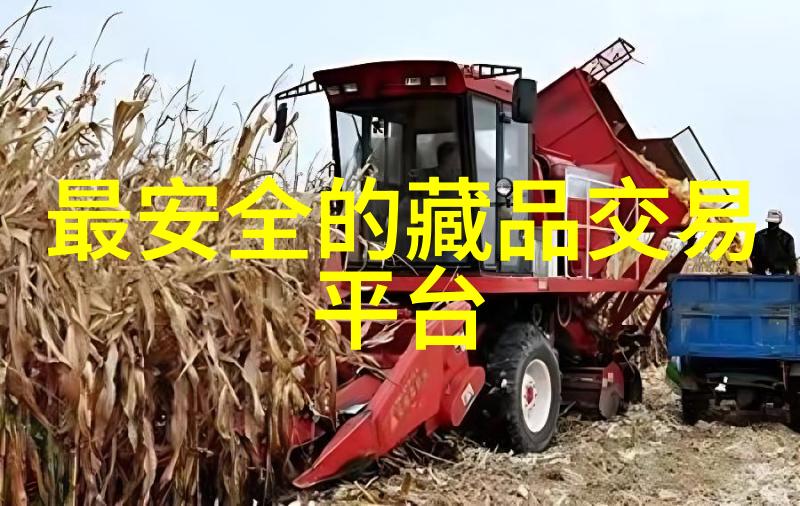 中国红酒的古老传统与发展历程
