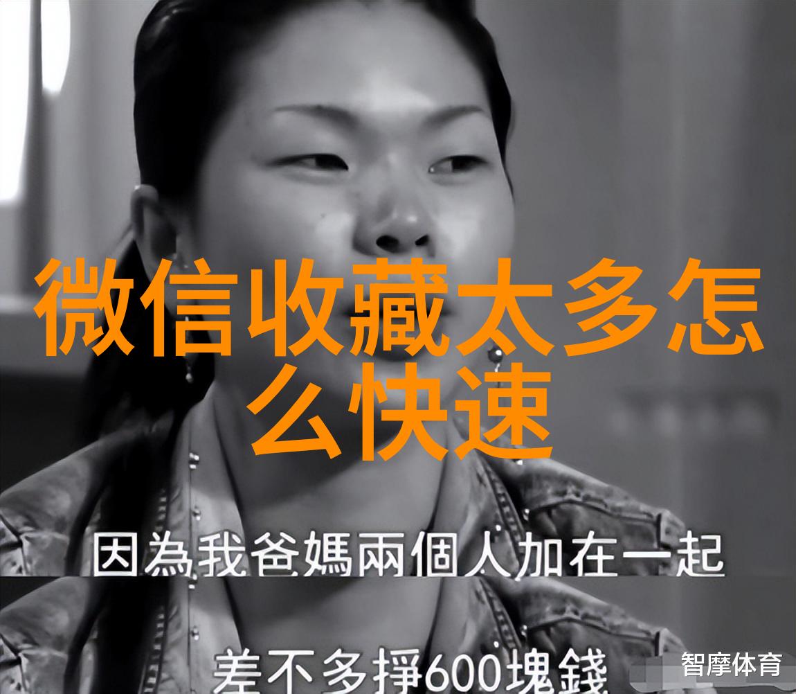 探索人生哲学深度问题的无限回响